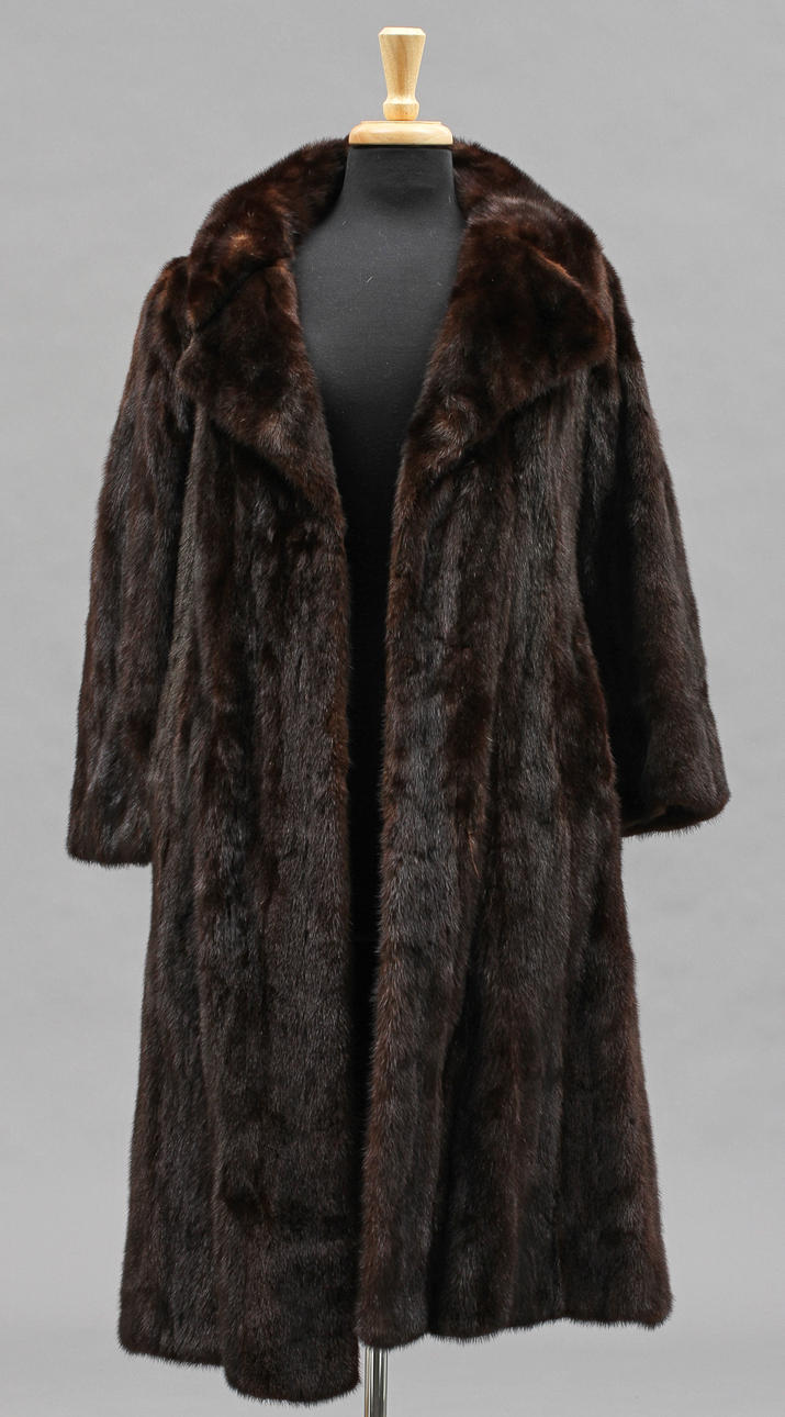 DAMPÄLS, Saga mink.