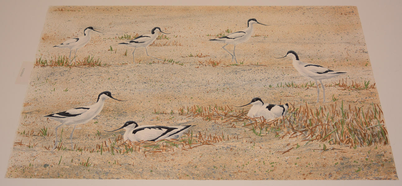 GUNNAR PETTERSON. Cut marks. Lithograph.