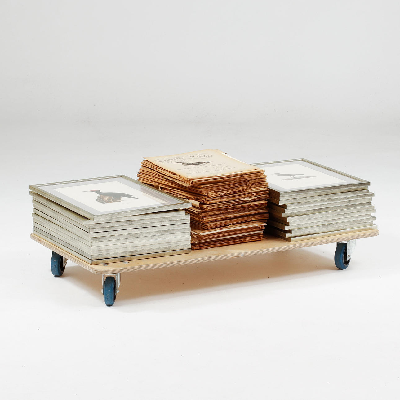 BIRDS, Swedish birds by Wright.