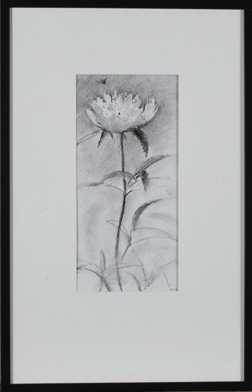 GUNNAR CYRÉN. Blume, Bleistift, signiert.