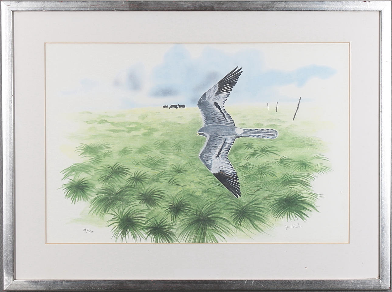 JAN RHODIN. Litografi, signerad och numrerad 30/360.