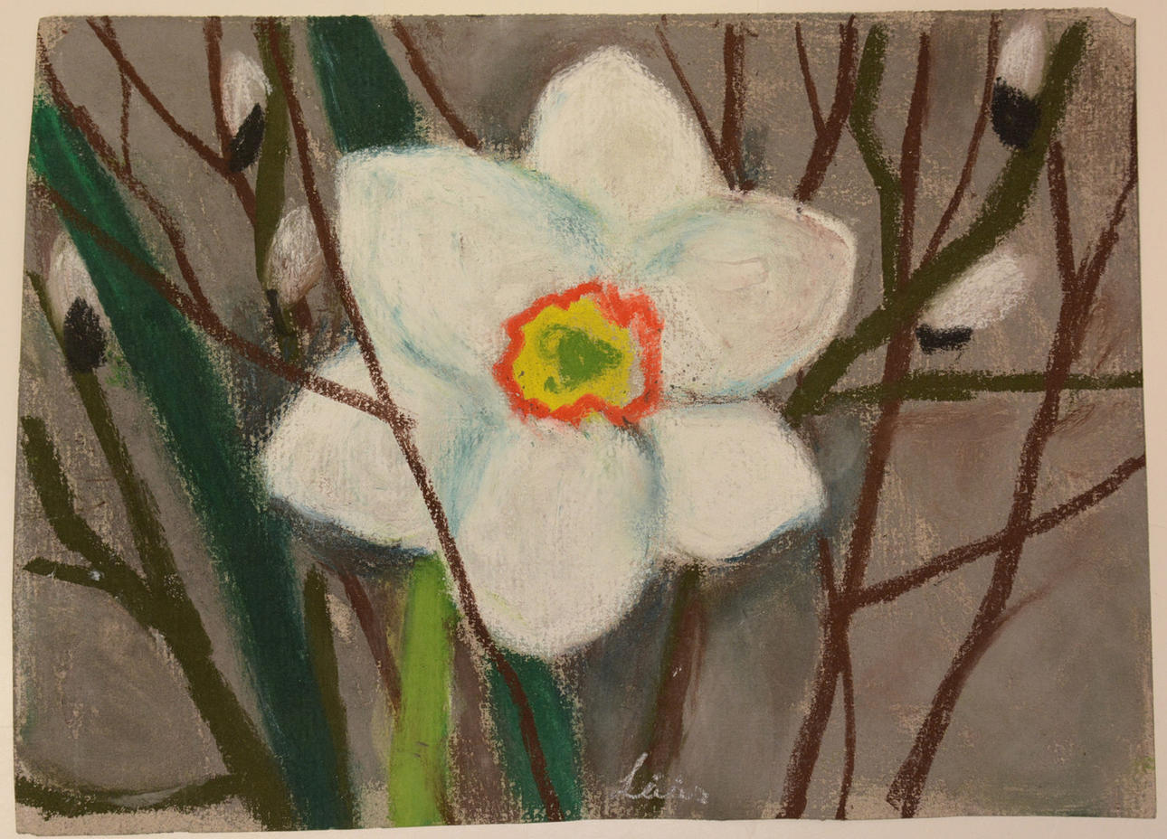 EVY LÅÅS. påskelilje Kridt.