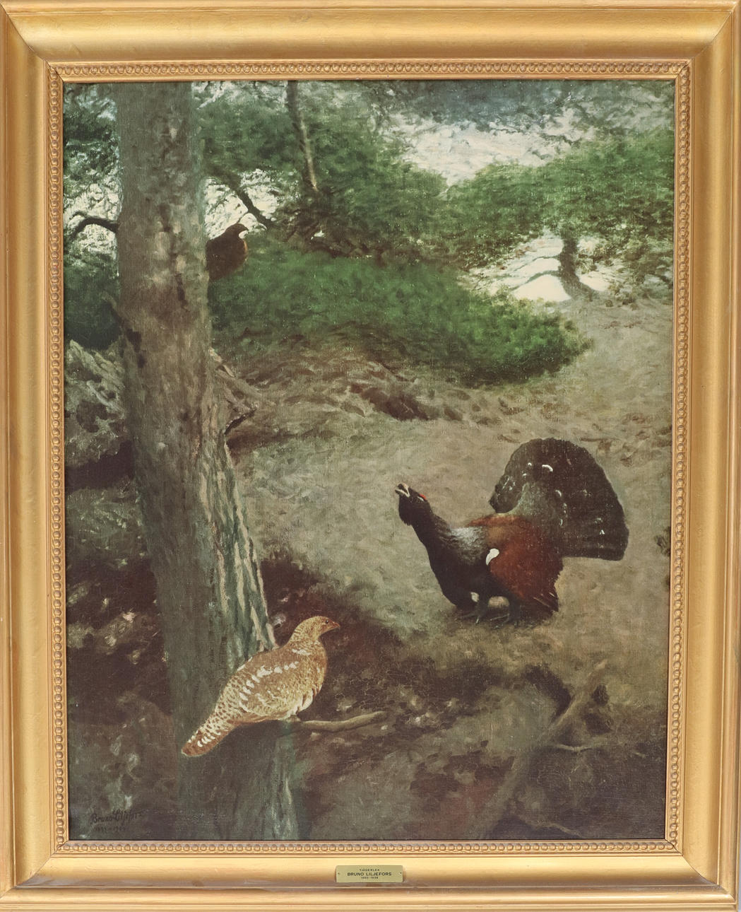 TRYCK, Bruno Liljefors, "fåglar", 1900-tal.