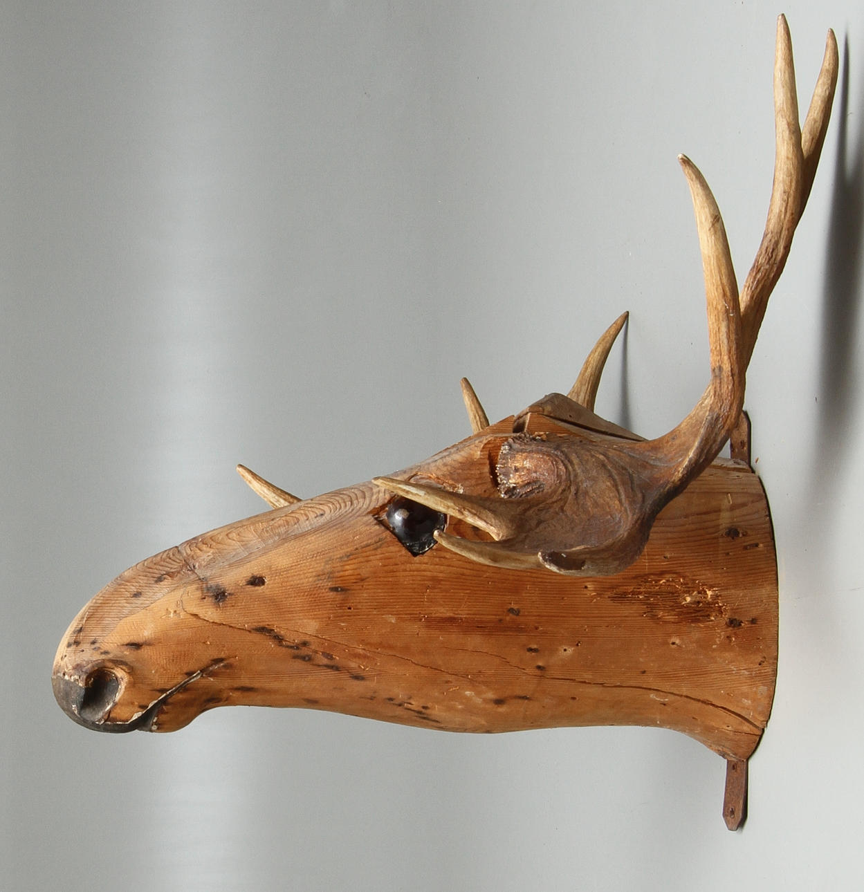 JAKTTROFÈ, 18/1900-tal.