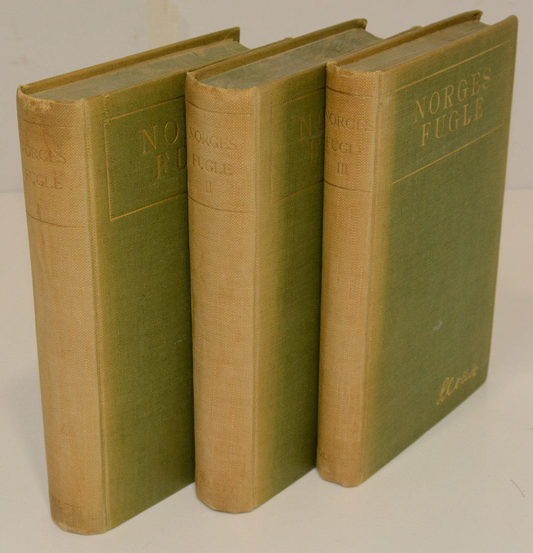 Norges Fugle. Ved Ørjan Olsen.