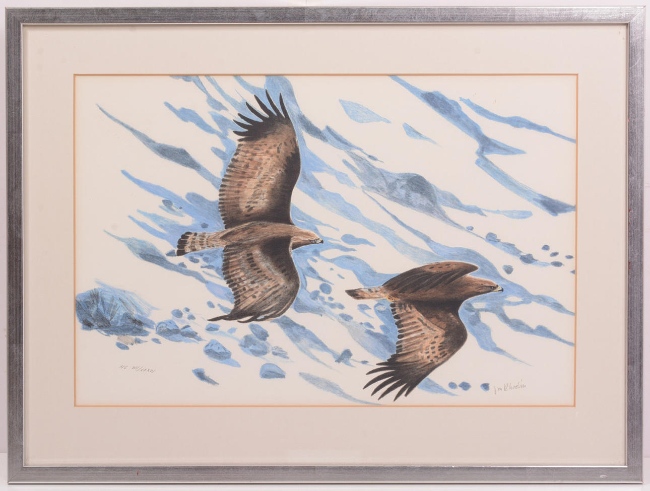 JAN RHODIN. Falcons. Lithograph.