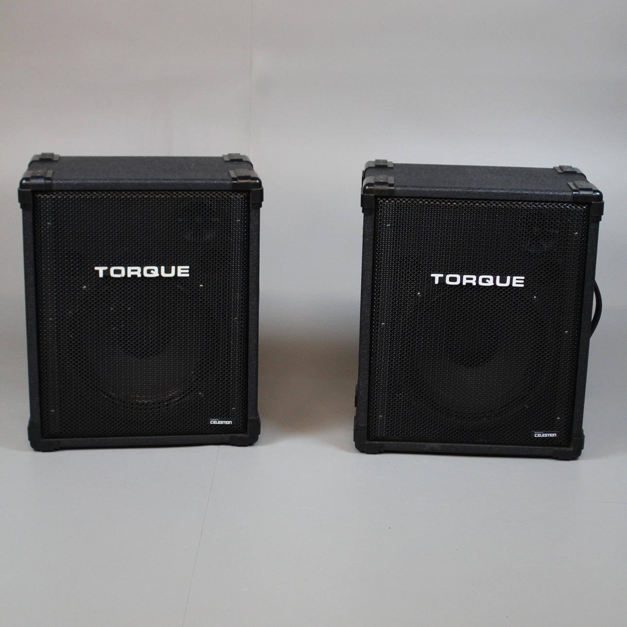 PA SPEAKER PAR Torque 100W 8ohm.