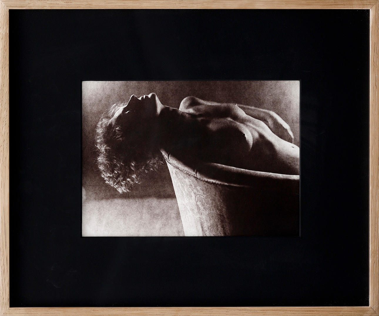 TONI CATANY. ”Nest”.