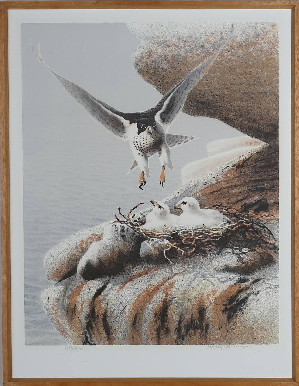 RUNE JOHANSSON. Rovfågel vid sitt bo. Färglitografi. Signerad. 128/270.