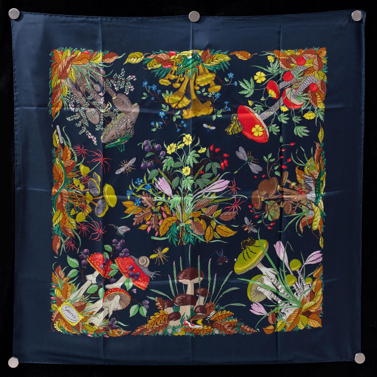 HUVI, Gucci, "Syksyn herkkusienet".