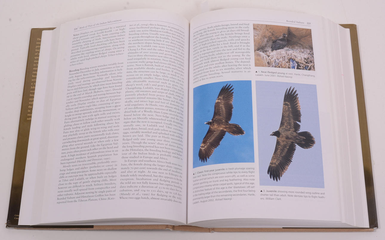 洋書 BIRDS OF PREY OF THE INDIAN SUBCONTINENT 洋書 BIRDS OF PREY OF THE INDIAN SUBCONTINENT Birds of Prey