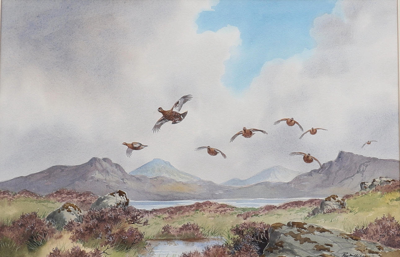 ROBERT MILLIKEN. UROGALLO EN TODO VUELO.