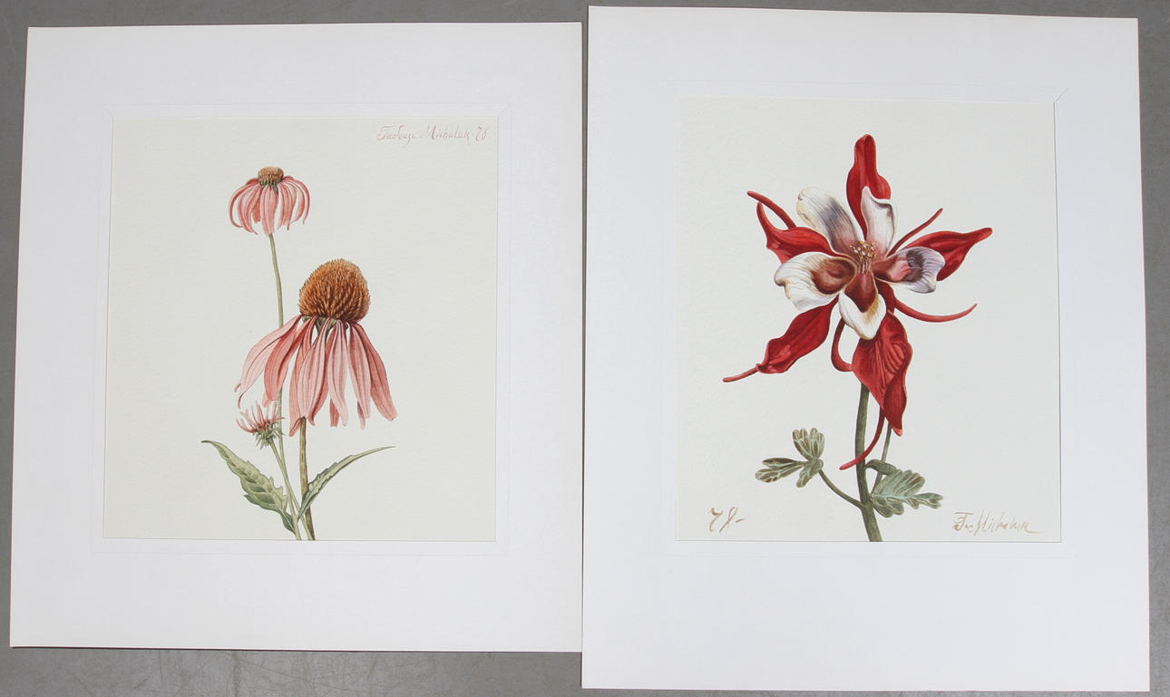TADEUSZ MICHALUK. 2 st, blommor, akvarell, signerade samt daterad 78. (3).