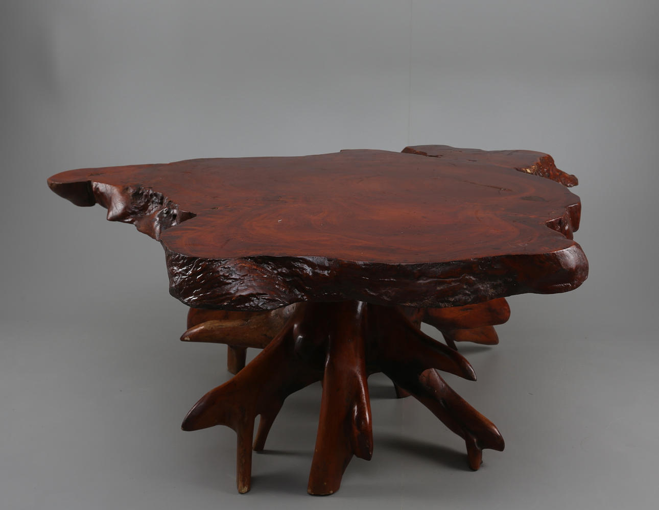 BORD, Teak med underede i rot.