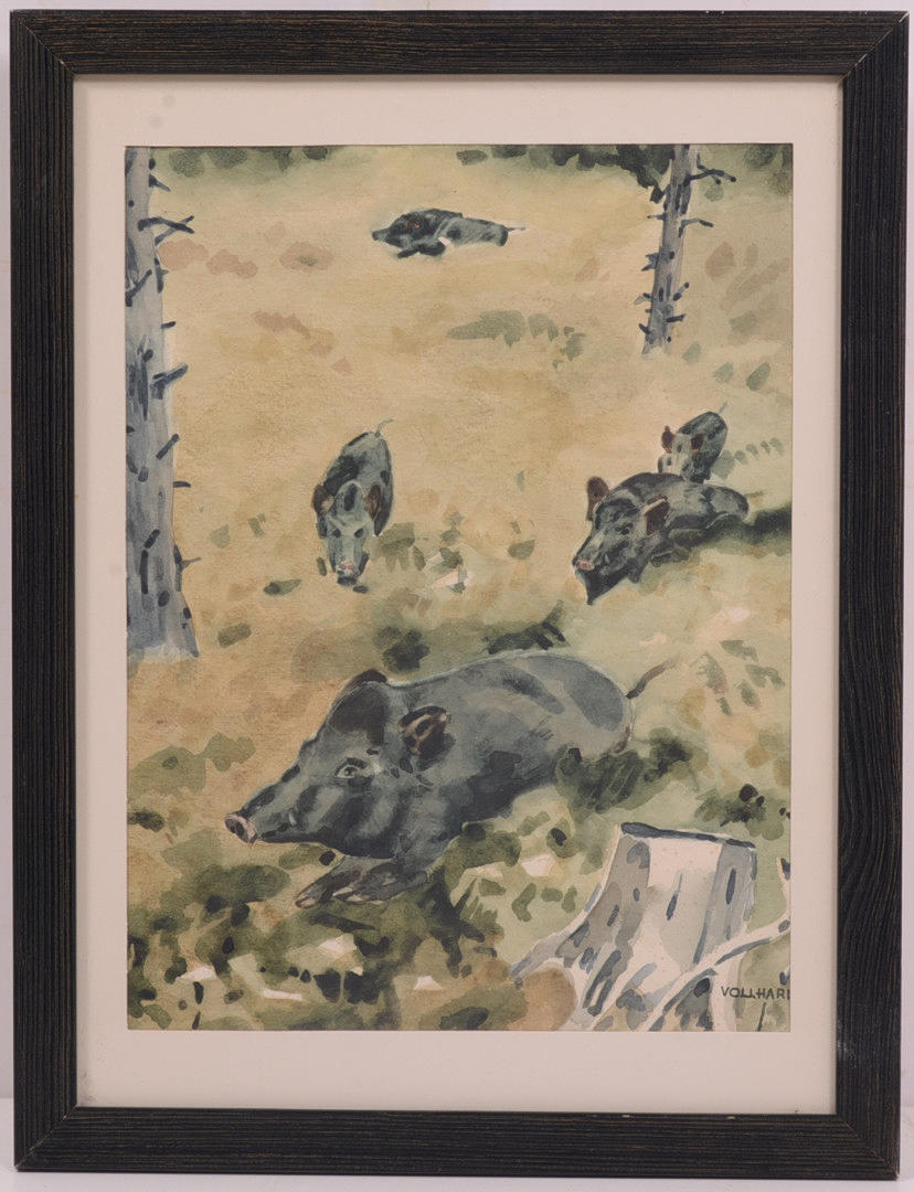 WOLFGANG VOLLHARD. Vildsvin. Akvarell.