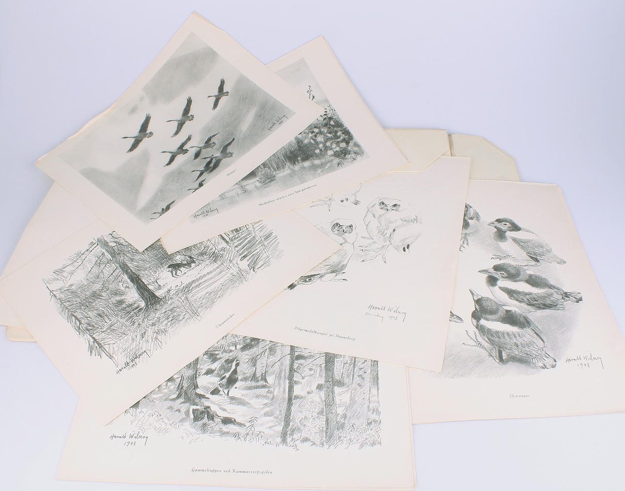 HARALD WIBERG. djur i naturen, mapp med 32 teckningar, tryckta, Nordstedts.