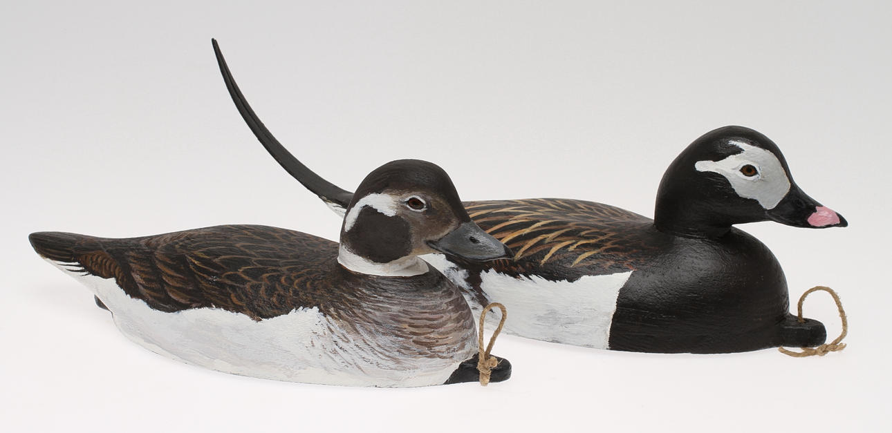 VETTAR, 2 st, Alfåglar, hane samt hona, signerade.