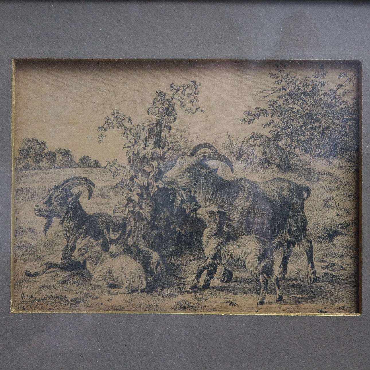 ANDREAS PETER MADSEN. GET MOTIV RITNING.