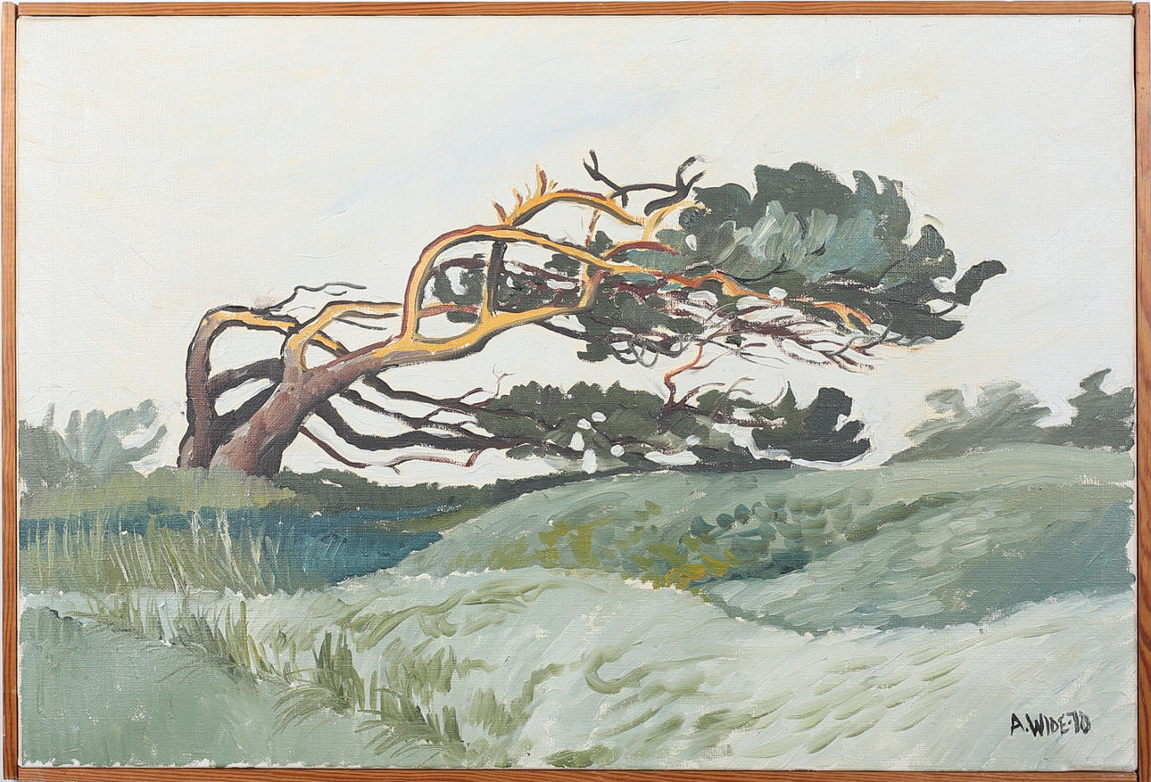 ÅKE WIDE. Vindpinad tall i Stockholms skärgård. Olja på duk. Signersd Å Wide och daterad -70.