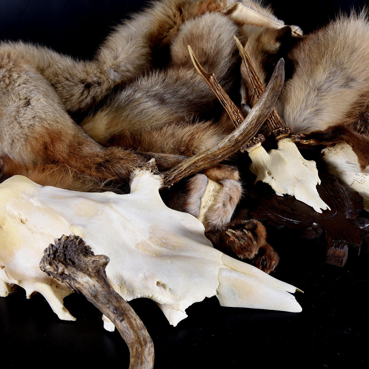 TROFÉ SAMT BOA, 6 delar.