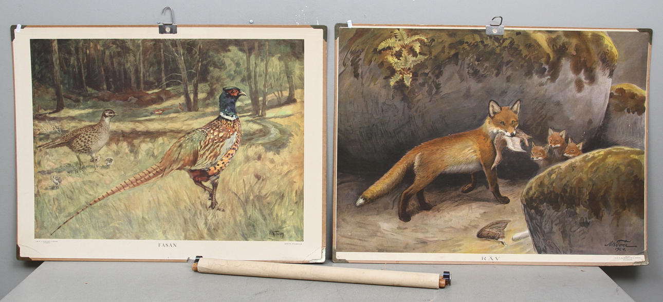 SKOLPLANSCHER, 3 st. Fasan, räv, Jesu himmelsfärd.