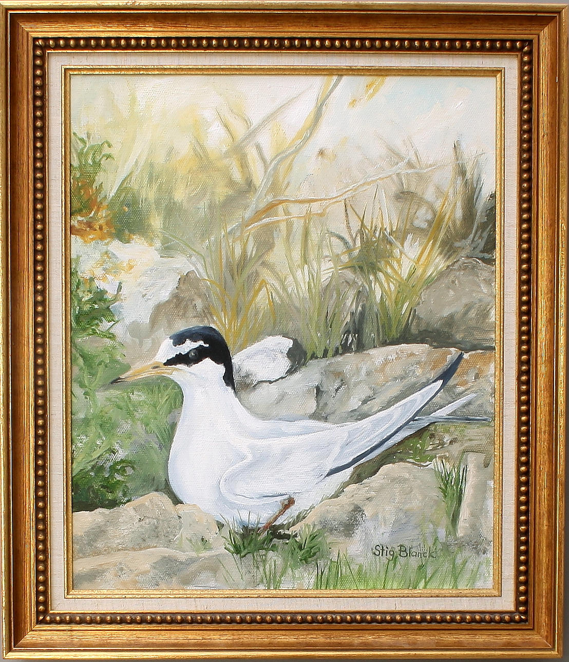 STIG BLANCK. småtärna, olja på duk.