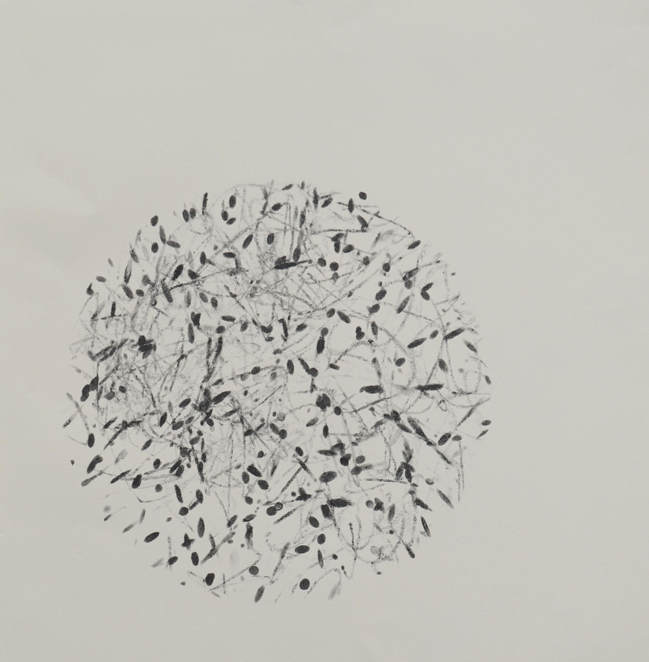 CARRIE MASON. PRESENCE, 2002.