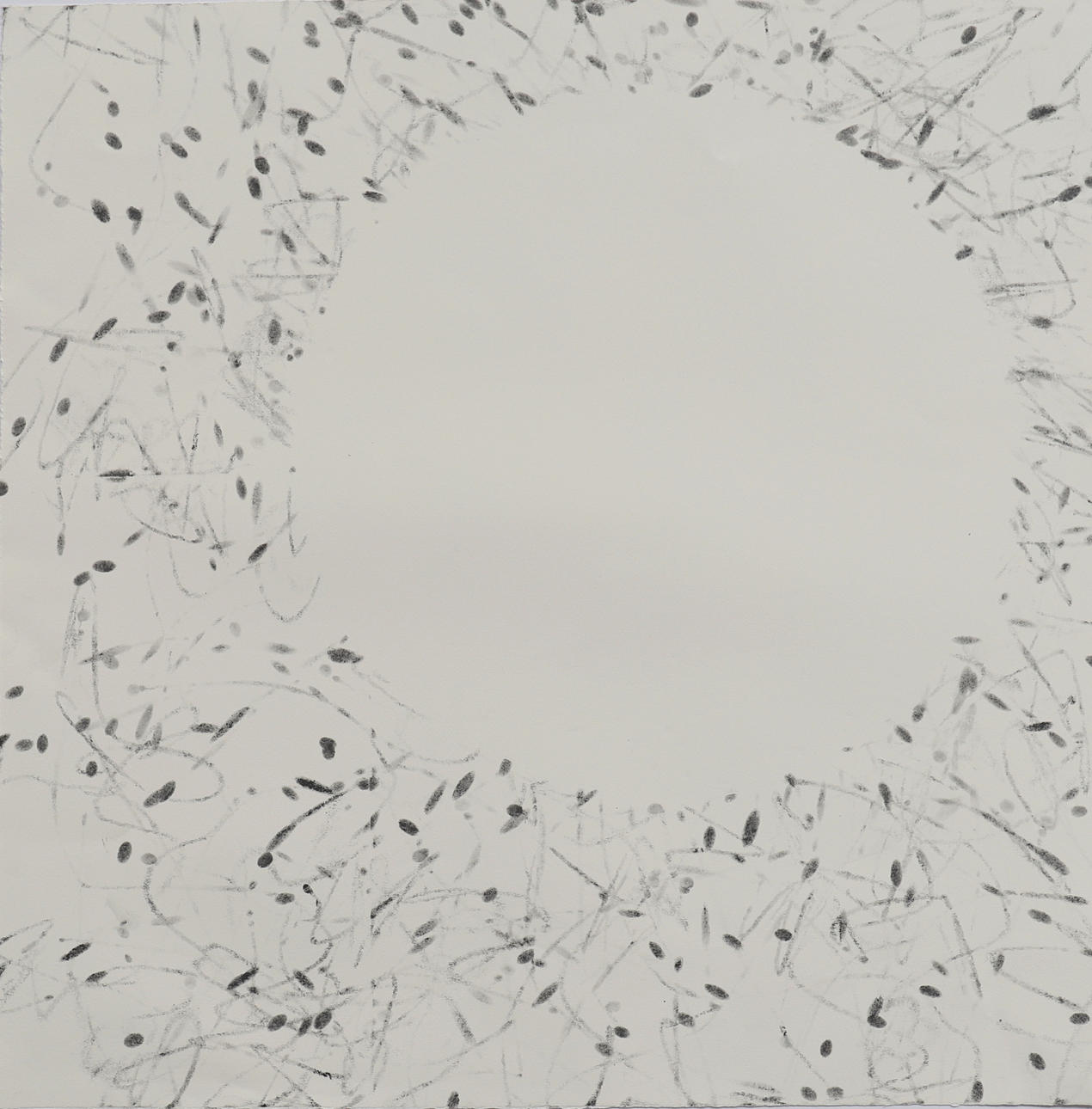 CARRIE MASON. AUSENCIA, 2020.