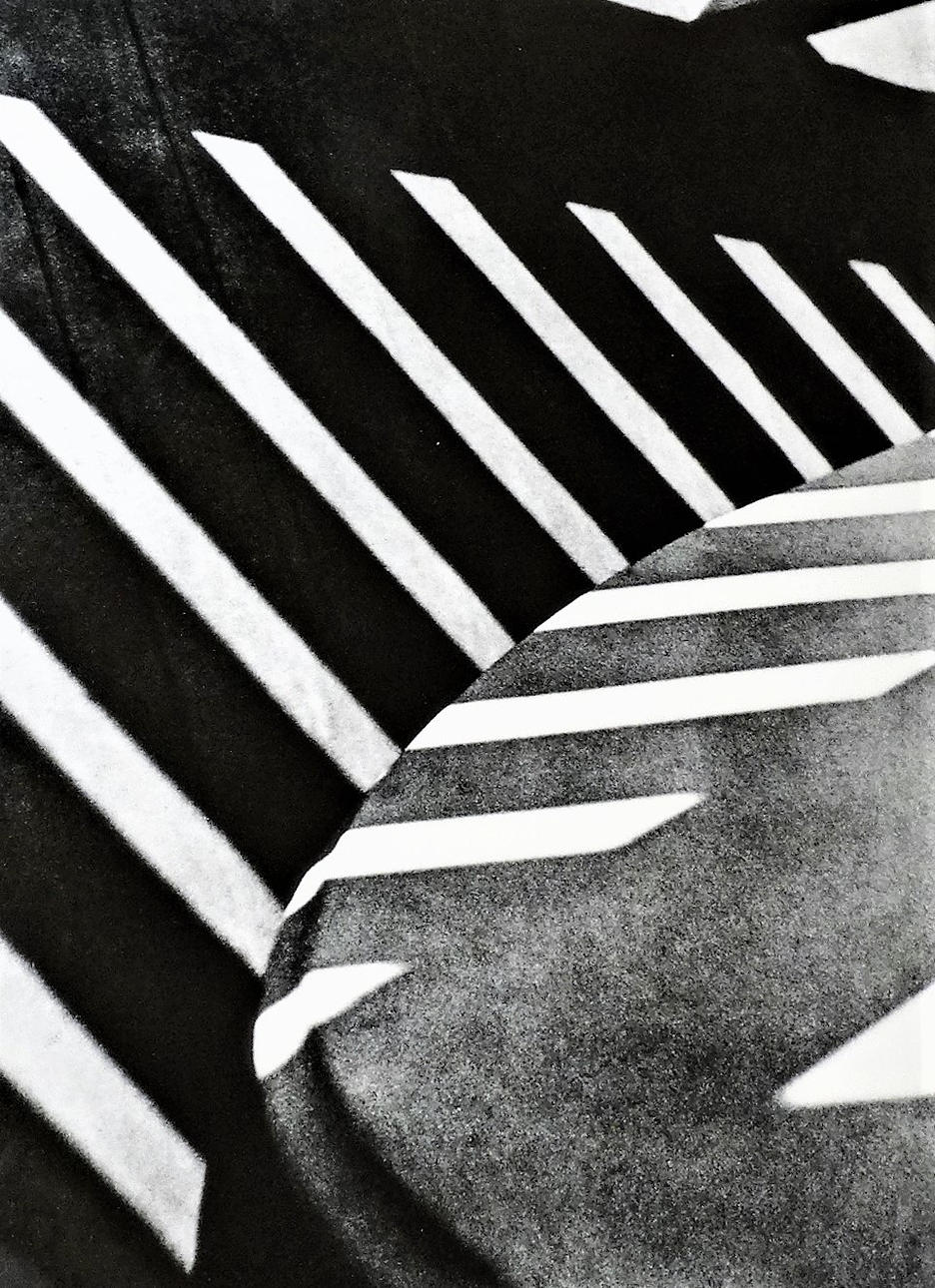 PAUL STRAND. Porch Shade, 1915.