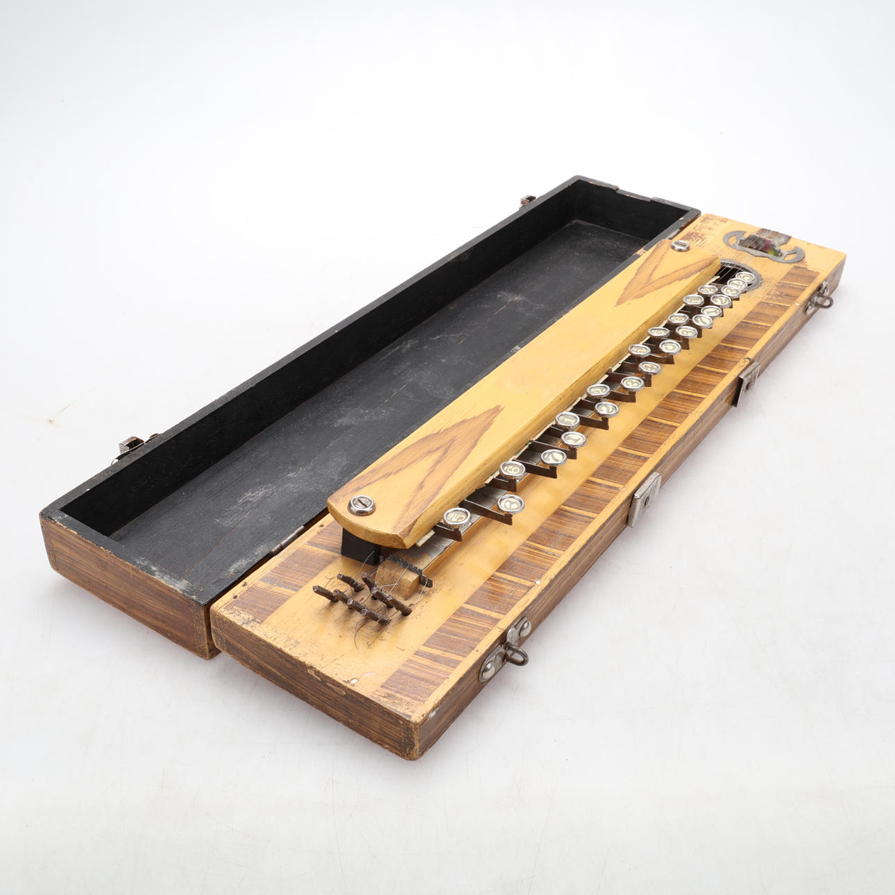 INSTRUMENT, Bulbul Tarang, Indien.