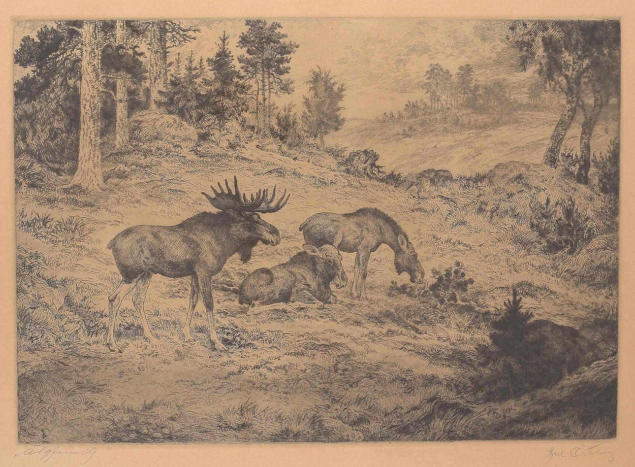 AXEL ÖSTERBERG. "Moose family", etching, signed.