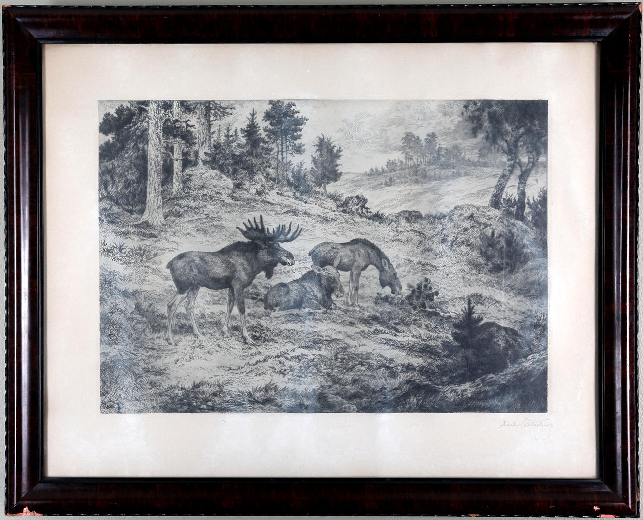 AXEL ÖSTTERBERG. ETSNING, "Älgar" signerad och daterad.