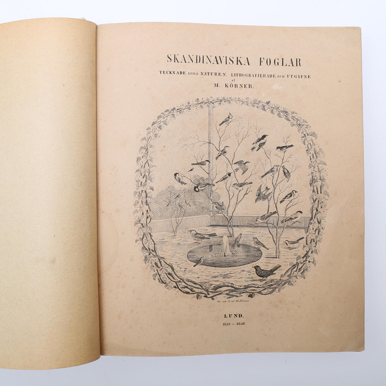 MAGNUS KÖRNER'S SCANDINAVIAN BIRDS AND MAMMALS WITH HAND COLORED LITHOGRAPHS 1839 - 1846 & 1855.