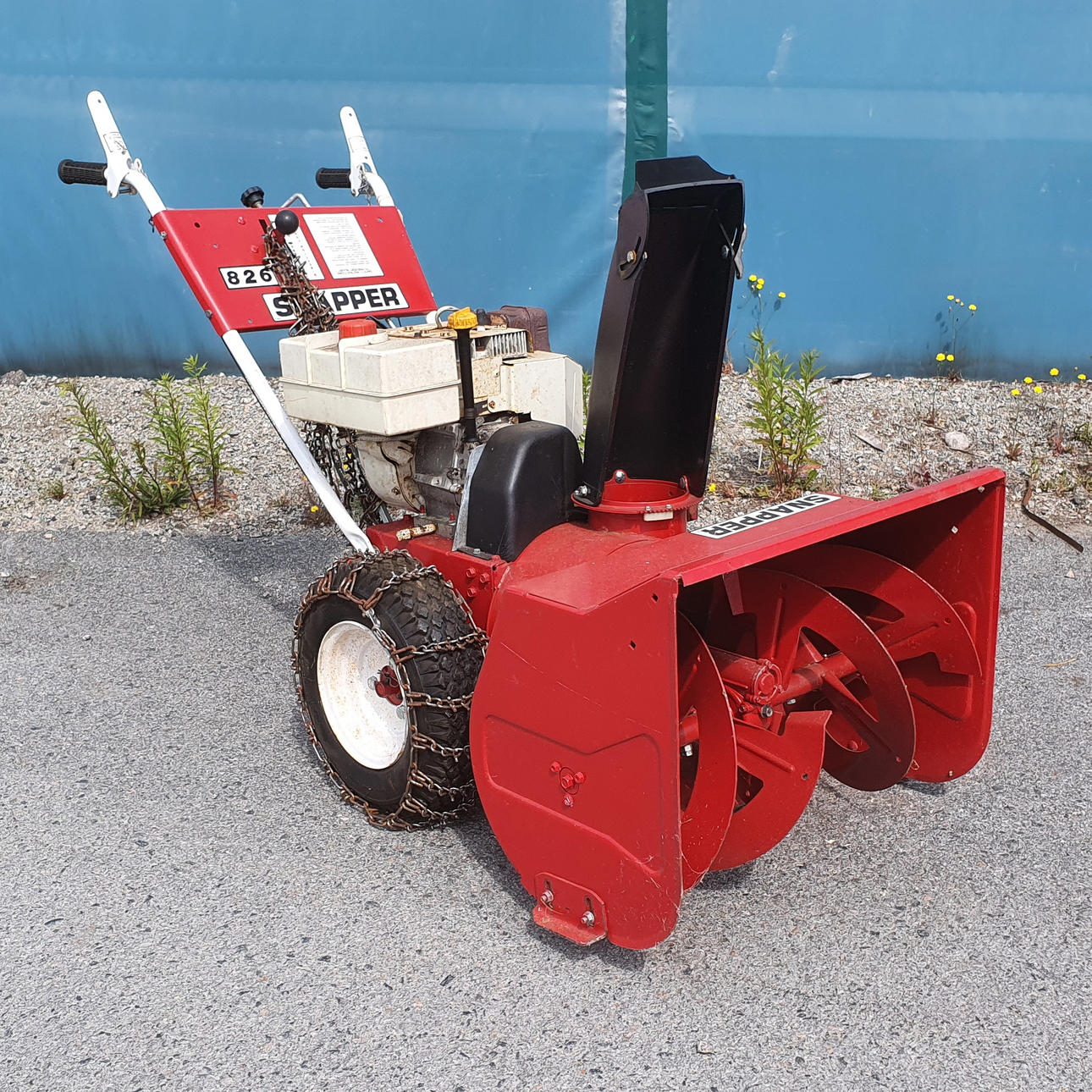 PRIMAVERA DE NIEVE, pargo 826.