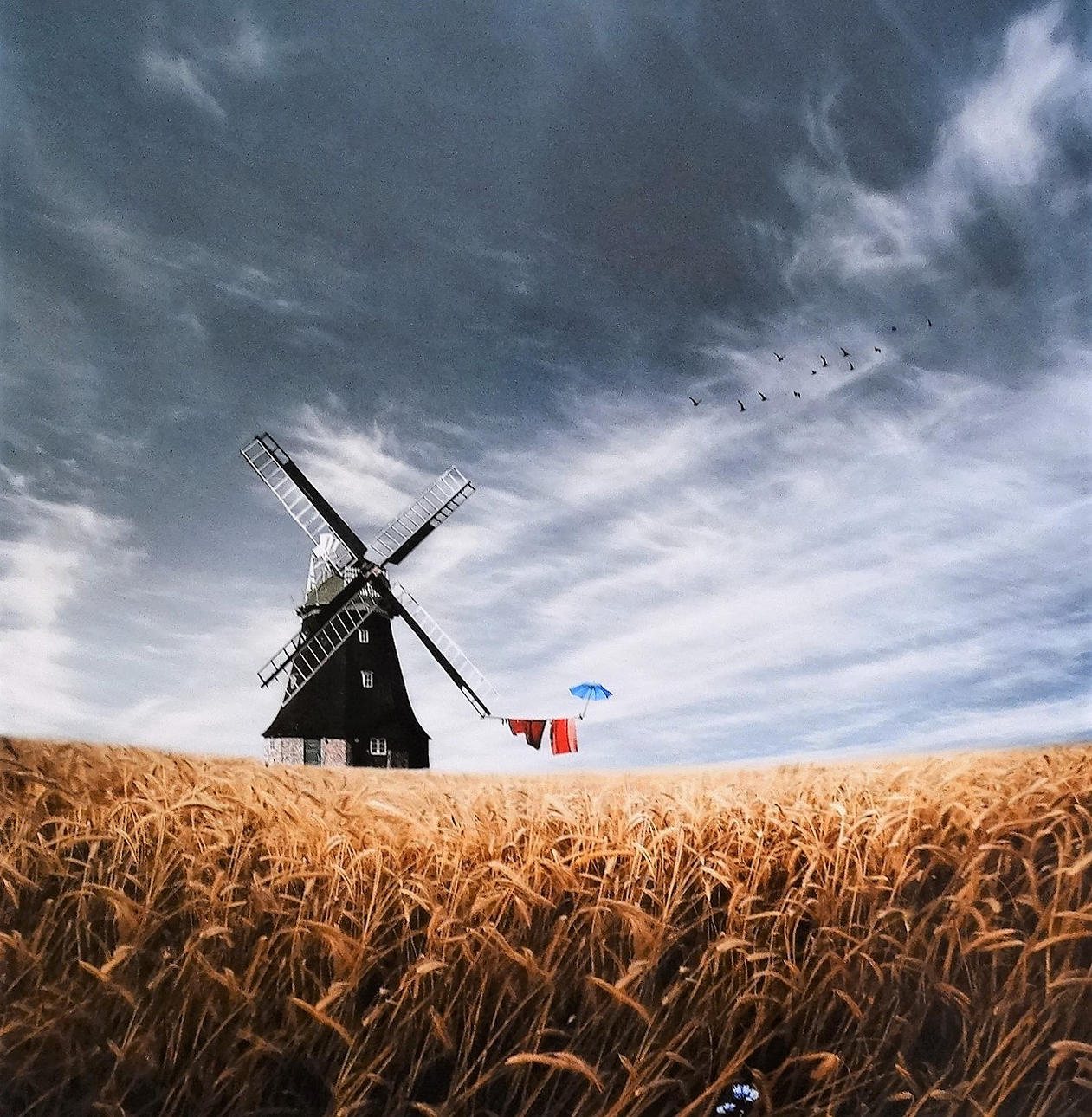 CHRISTINE  ELLGER. Windmühle, Foto.