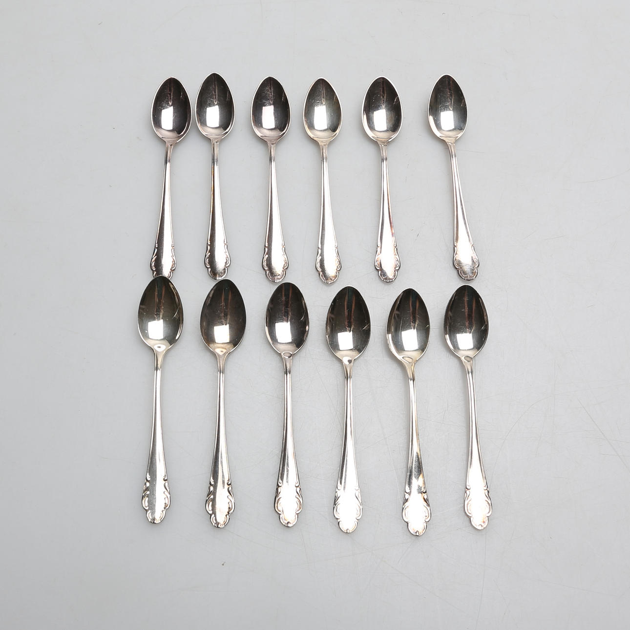 12 SILVERSKEDAR HAGA.