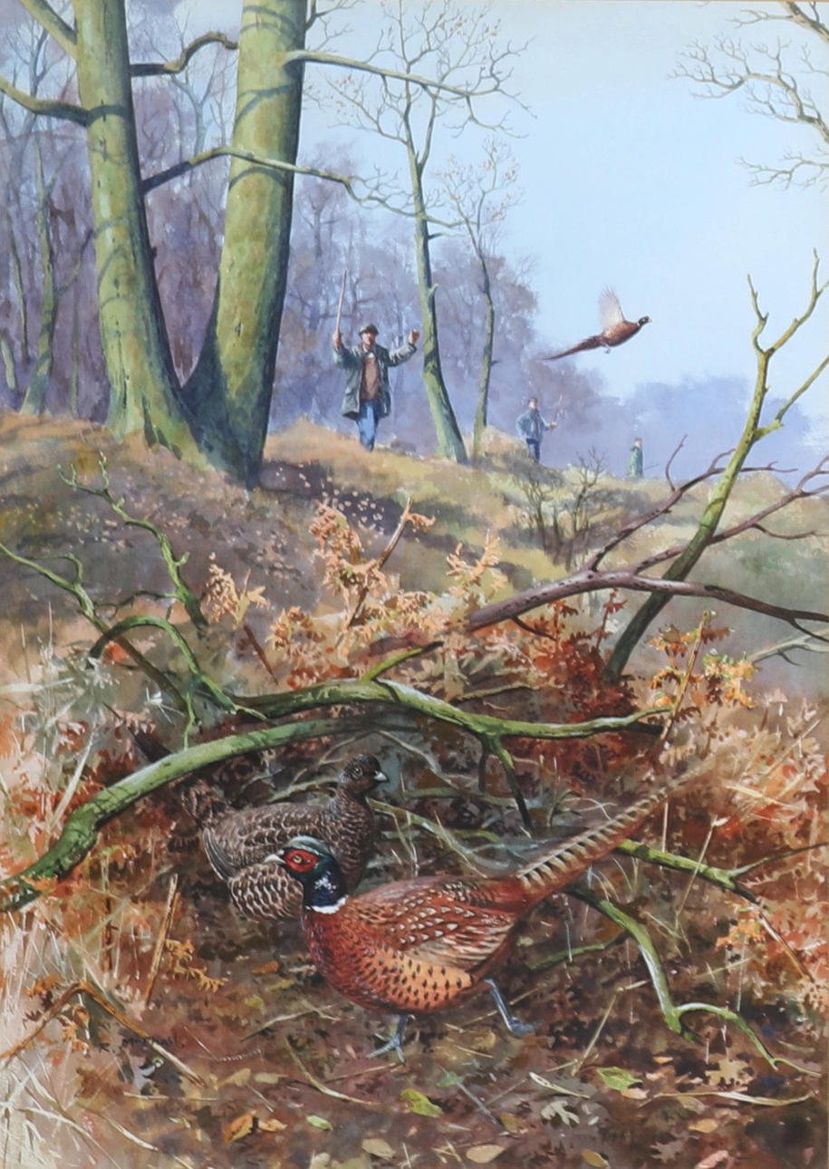 RODGER MCPHAIL 1953-. BEATING FOR PHEASANTS.