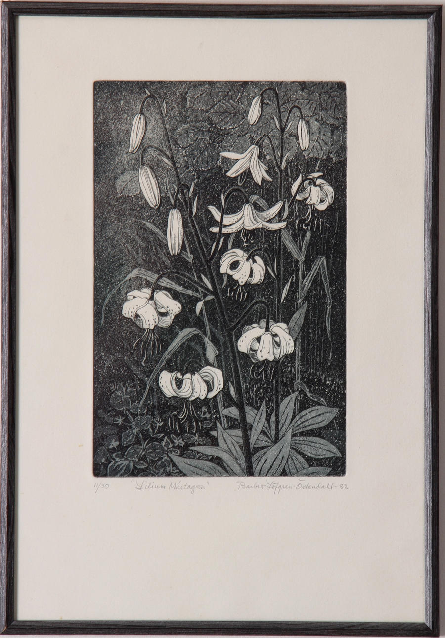 BARBRO LÖFGREN ÖRTENDAHL. Grafiskt blad, "Lilium Martagon", signerad och numrerad.