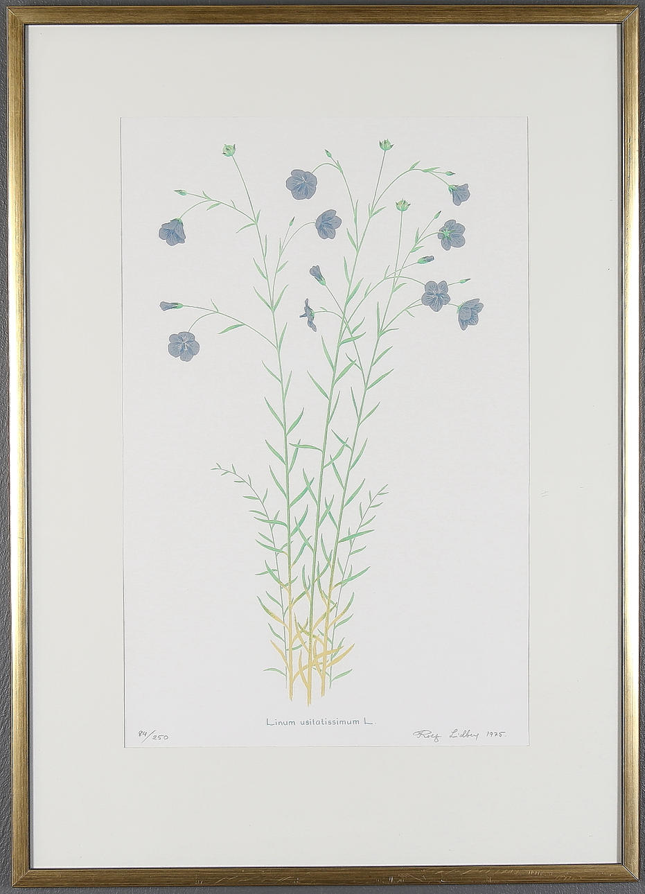 ROLF LIDBERG. Litografi, signerad, 84/250 och daterad 1975.