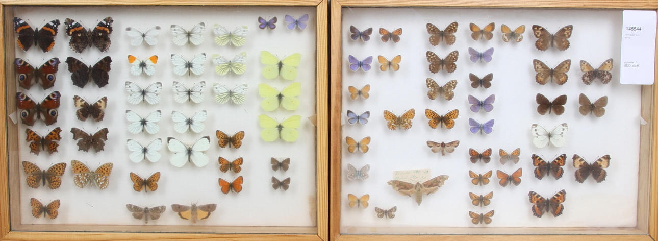 TITTSKÅP, 2 st, fjärilar.