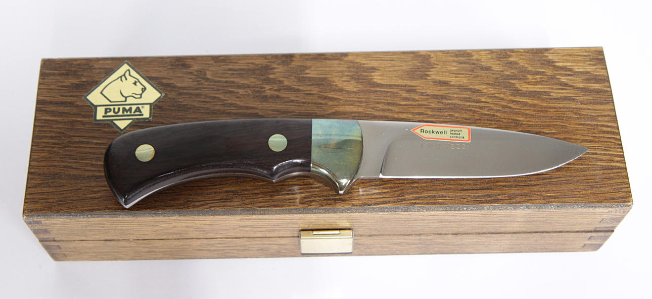 3. CUCHILLO, Puma, Silverlöwe.