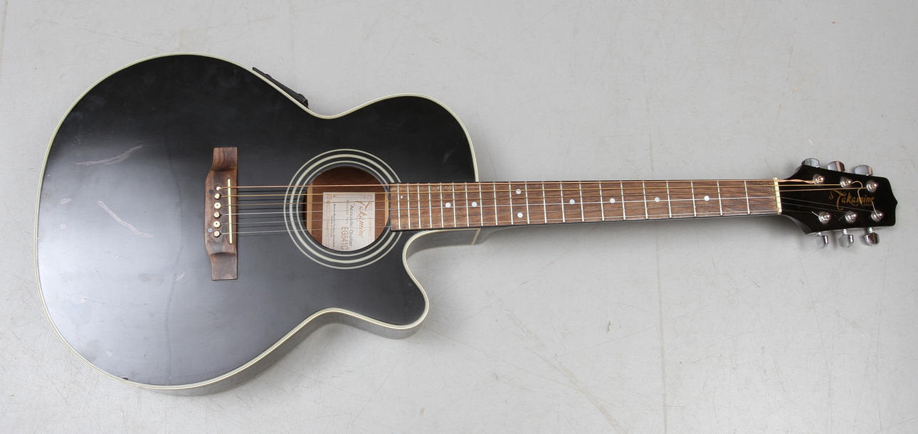 GITARR, Takamine, G series.