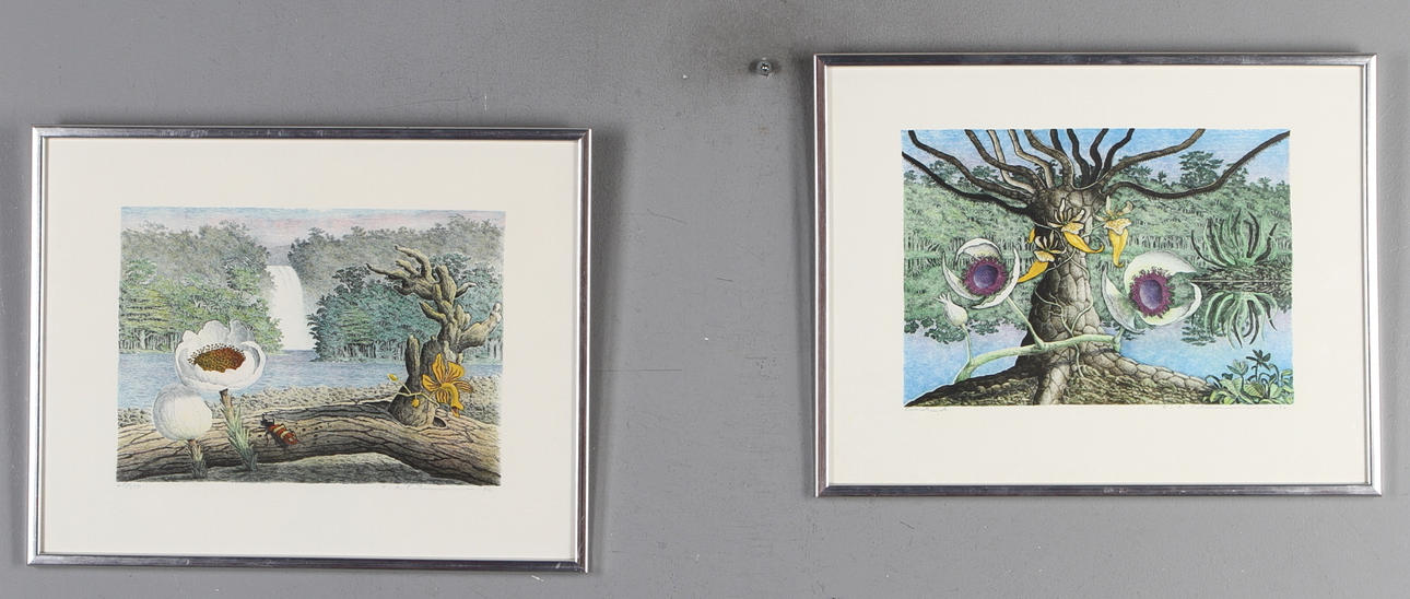 KARL AXEL PEHRSON. 2 st färglitografier, Kompositioner med fantasiväxter, signerade och numrerad 65/350 samt PT.