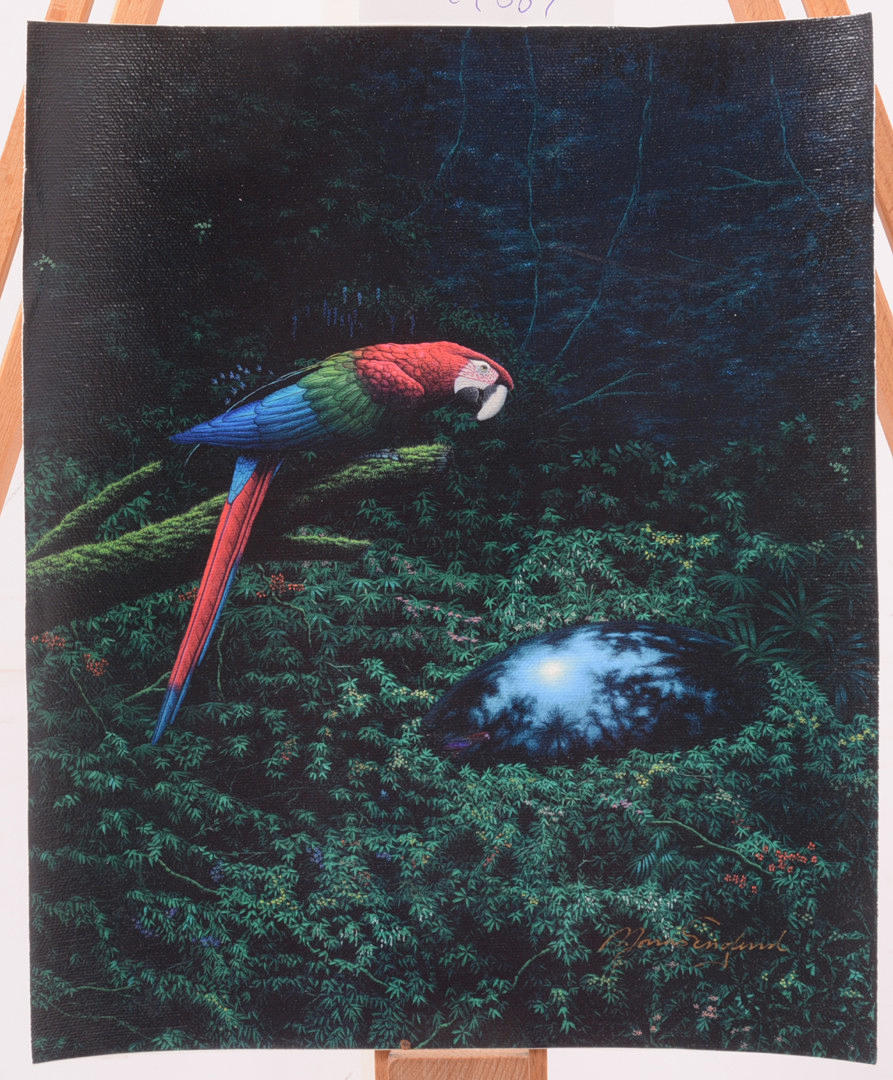 JONAS ENGLUND. Papukaija. Giclee.