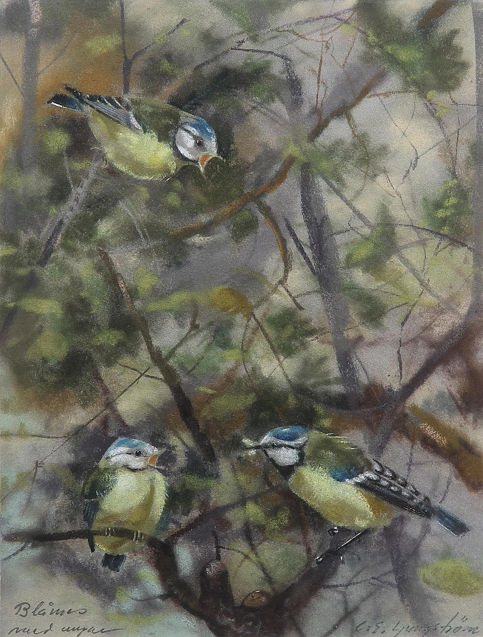 CARL-ERIK LJUNGSTRÖM. "Blåmes med ungar". Pastell. Signerad C-E. Ljungström.