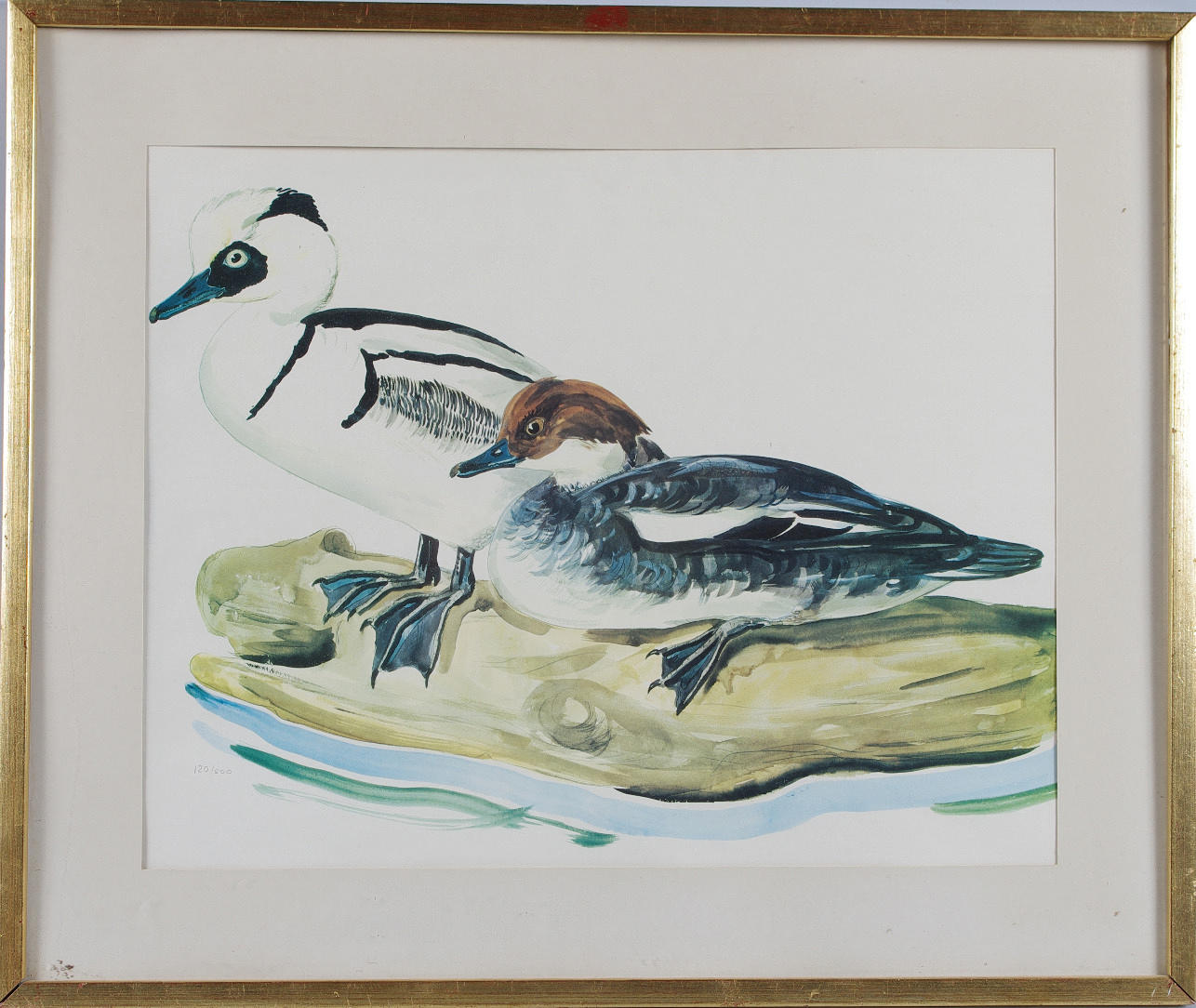 GÖRAN GOMER BRUNIUS. TILLSKRIVEN. 2 sjöfågelar, färglitografi, osignerad.