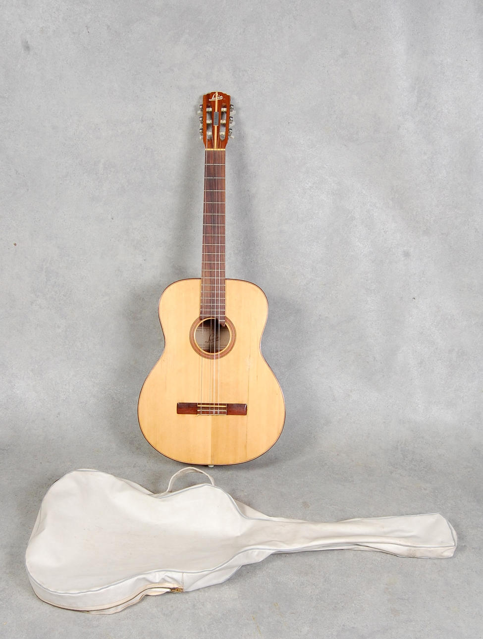 GITARR, Levin.