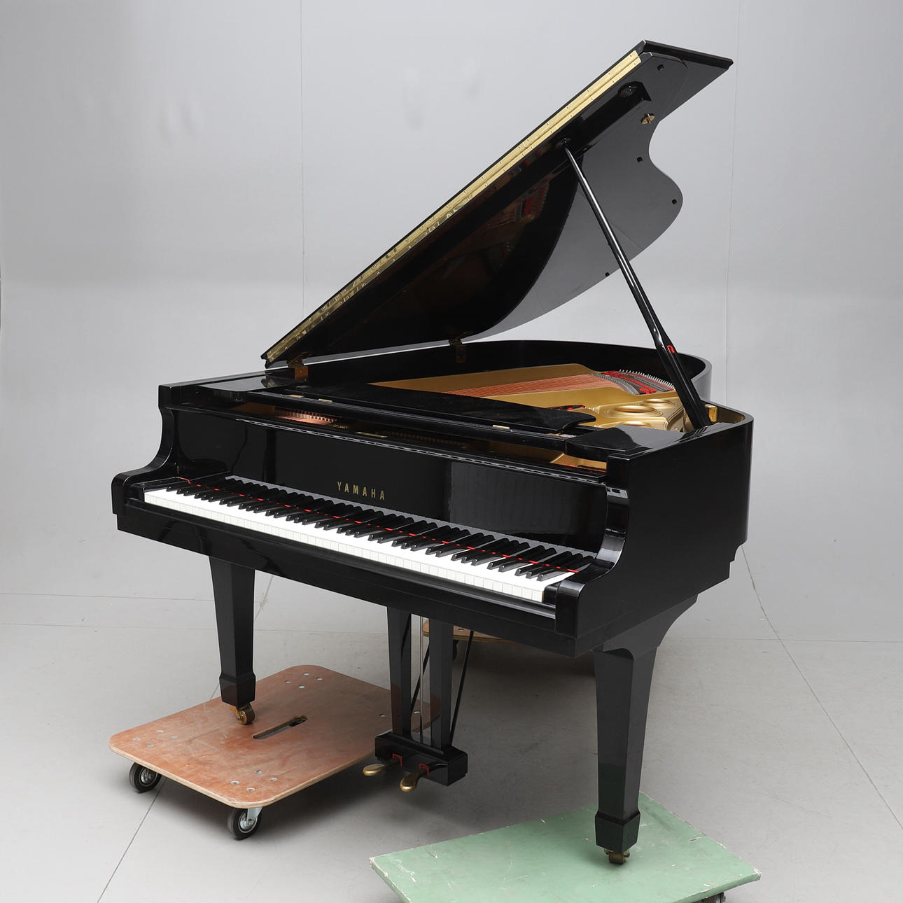 FLYGEL, Yamaha, Japan.