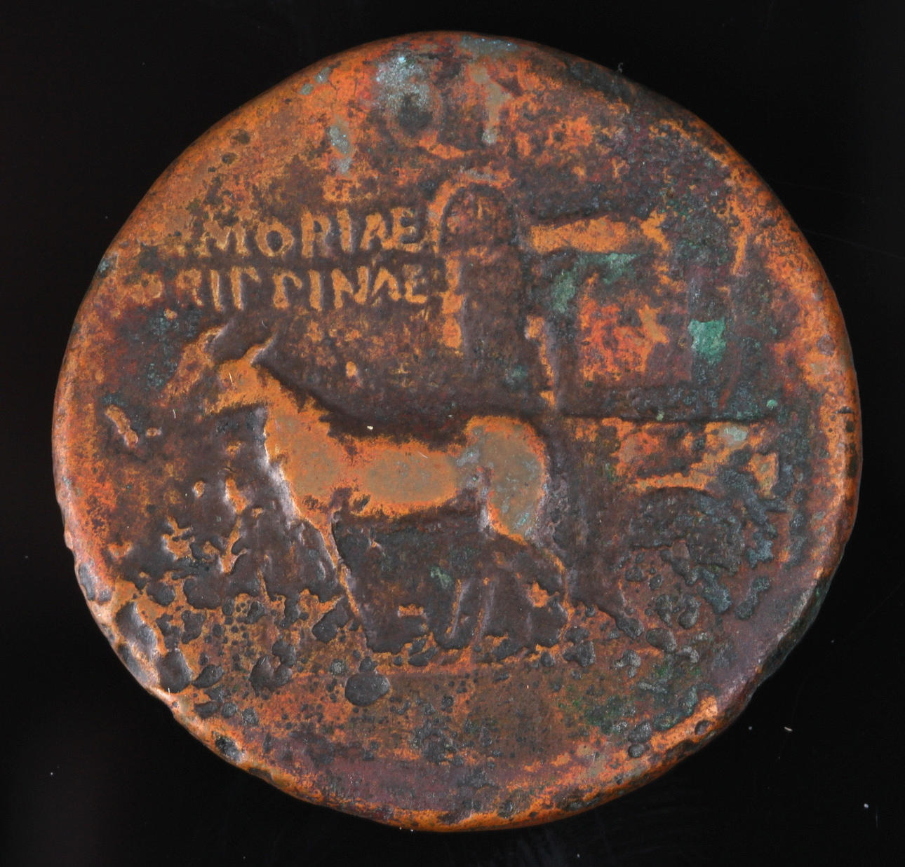 MYNT, brons, Agrippina Senior, Sestertius, 15 f-kr – 33 e.kr. 21,45 g.