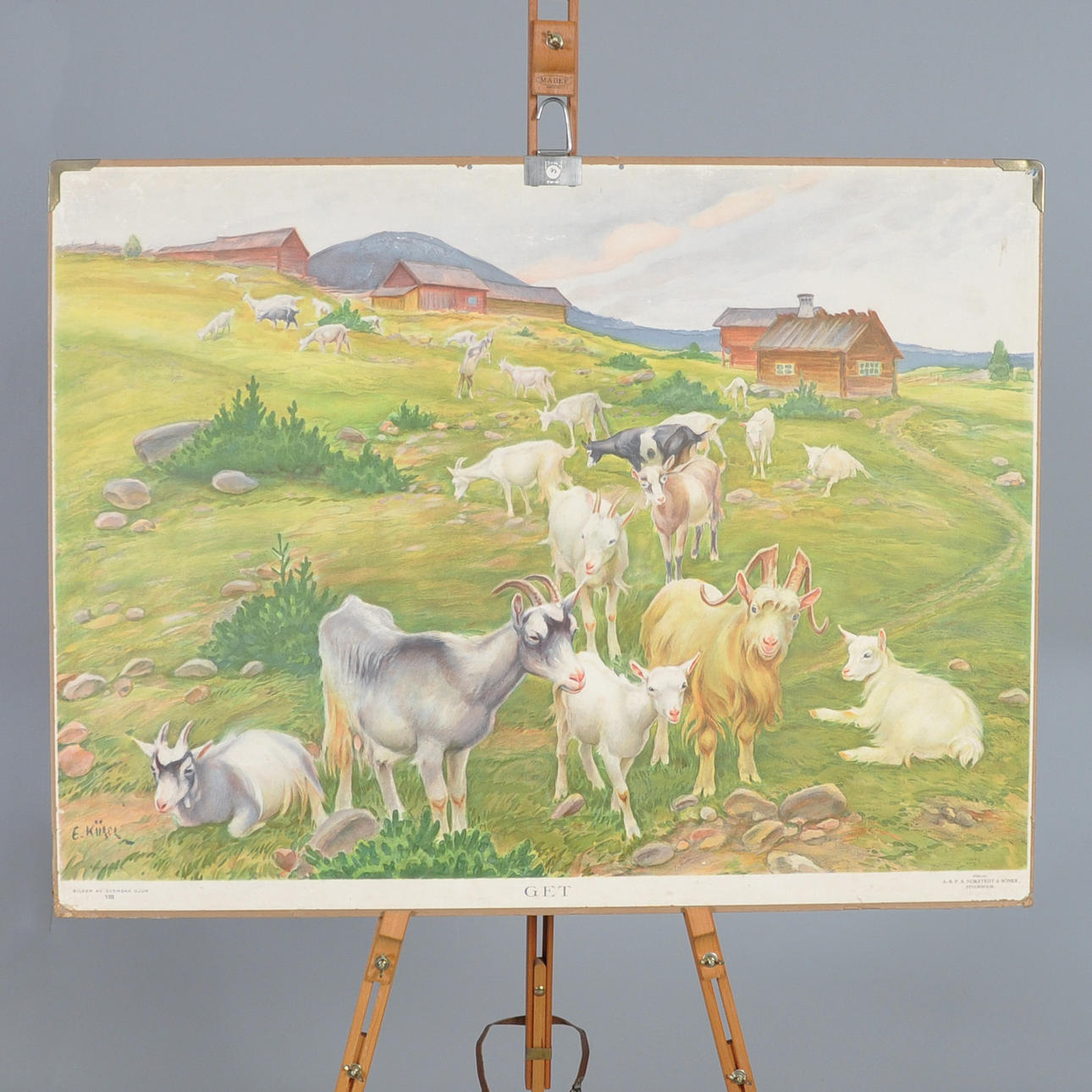 ESCUELA PLANSCH, cabra.